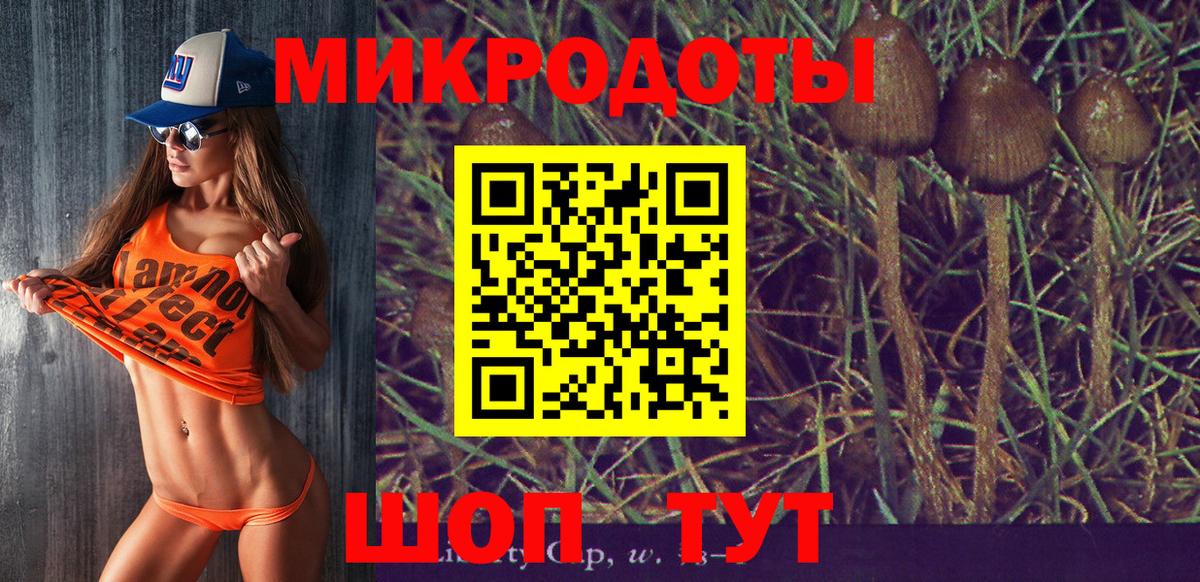 Советская Гавань  Галлюциногенные грибы Psilocybine cubensis  Вход с VPN 